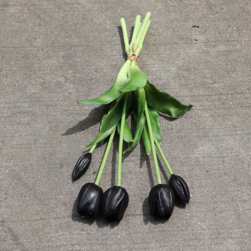 Enduring elegance flowers with different colours 5 heads