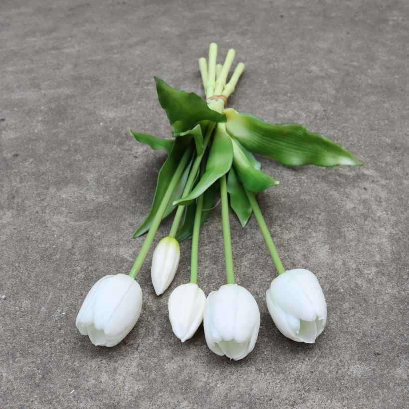 Enduring elegance flowers with different colours 5 heads