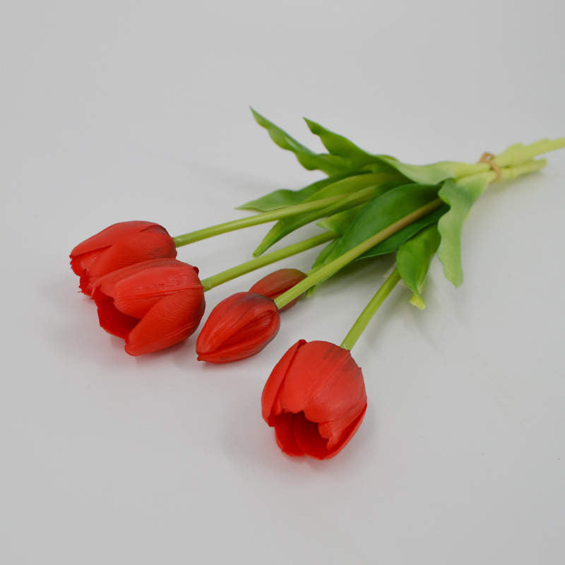 Enduring elegance flowers with different colours 5 heads
