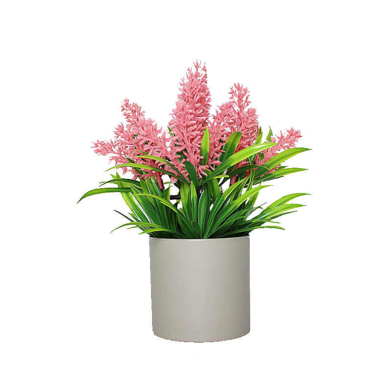 Floral Grace three Different colours