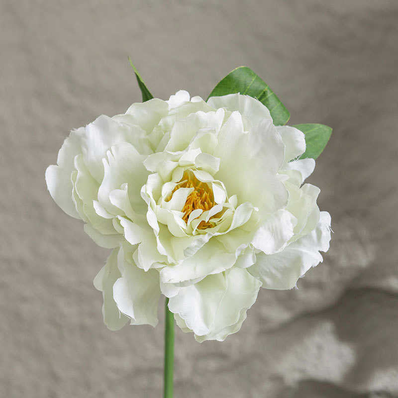 Infinite blooms with different colours 1 head