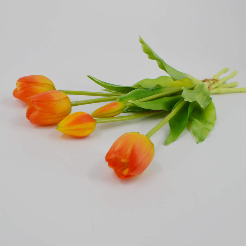 Enduring elegance flowers with different colours 5 heads