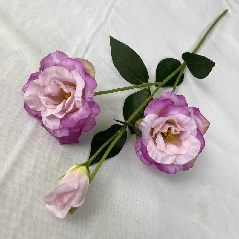 Sovereign florals with different colours