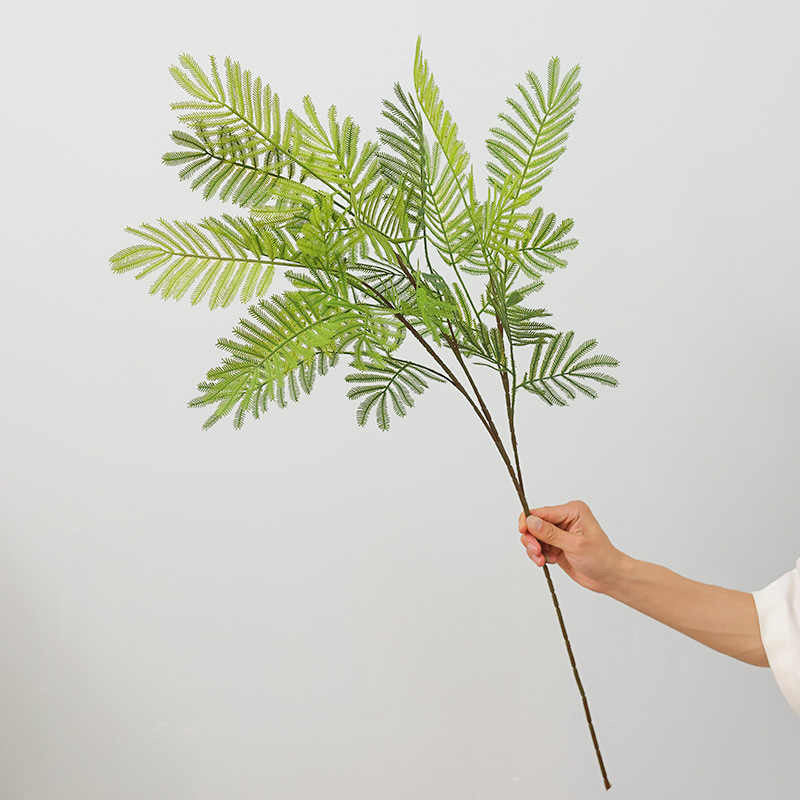 Elysian blooms green leaf