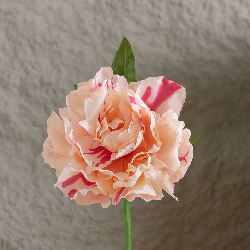 Infinite blooms with different colours 1 head