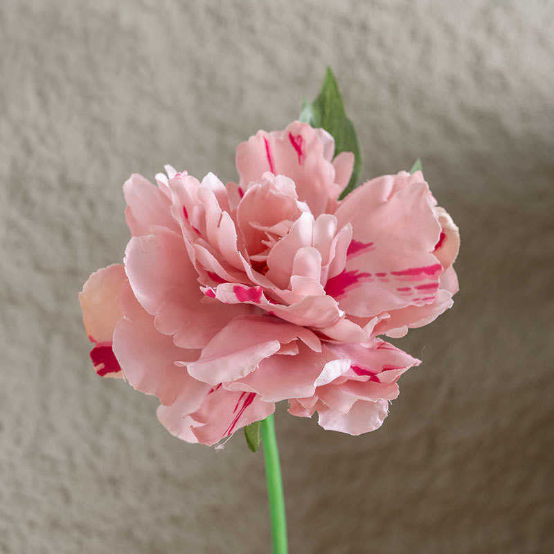 Infinite blooms with different colours 1 head