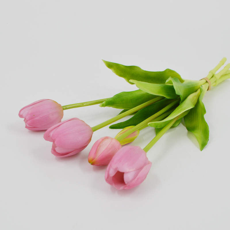 Enduring elegance flowers with different colours 5 heads