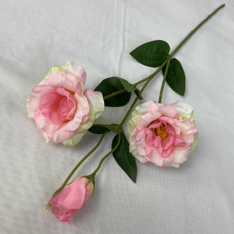Sovereign florals with different colours