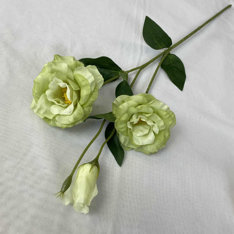 Sovereign florals with different colours