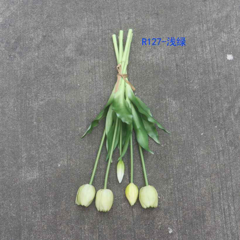 Enduring elegance flowers with different colours 5 heads