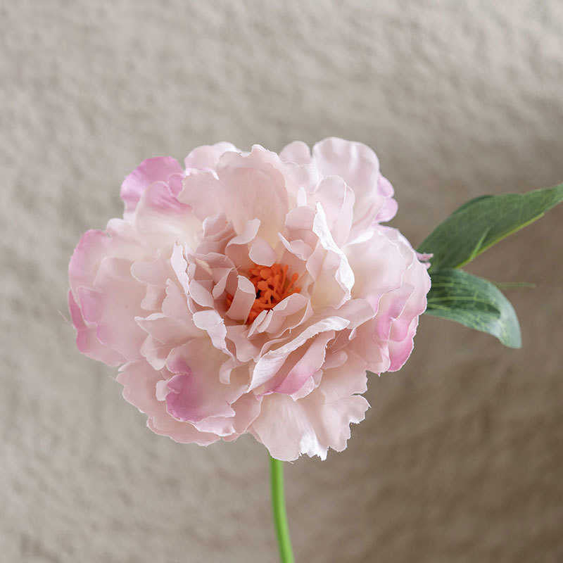 Infinite blooms with different colours 1 head