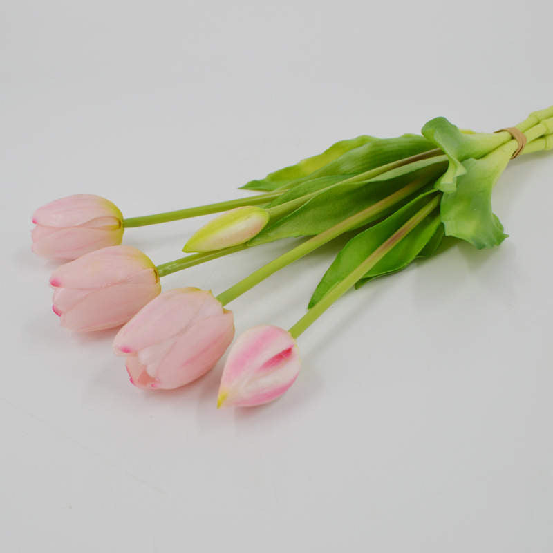 Enduring elegance flowers with different colours 5 heads