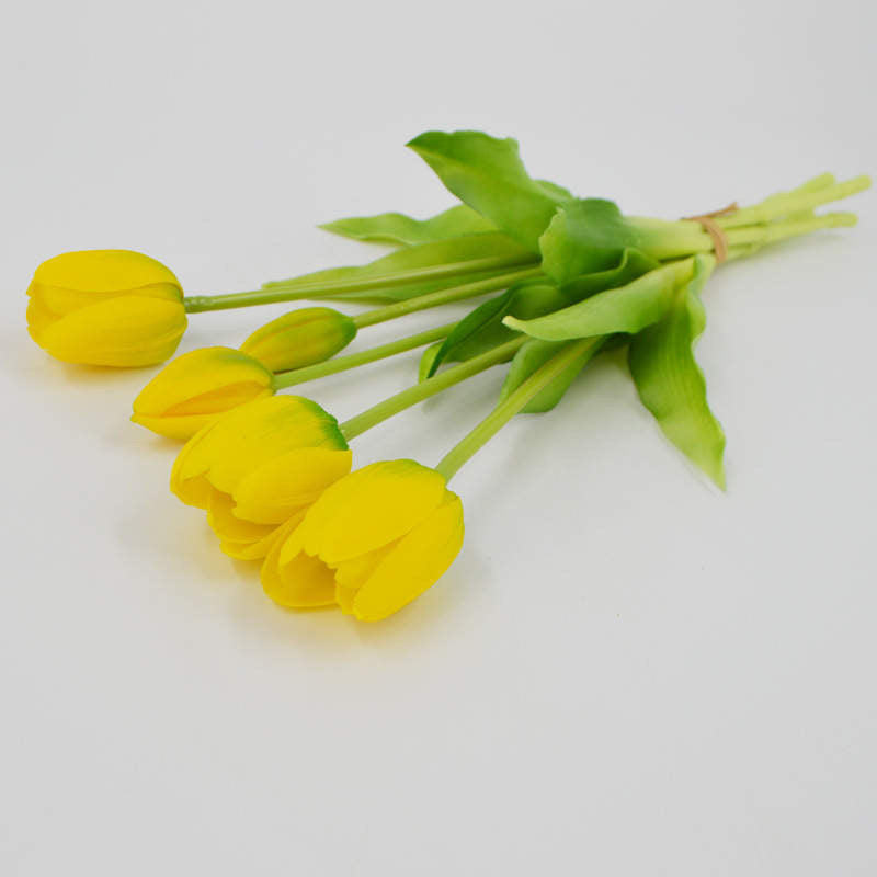 Enduring elegance flowers with different colours 5 heads