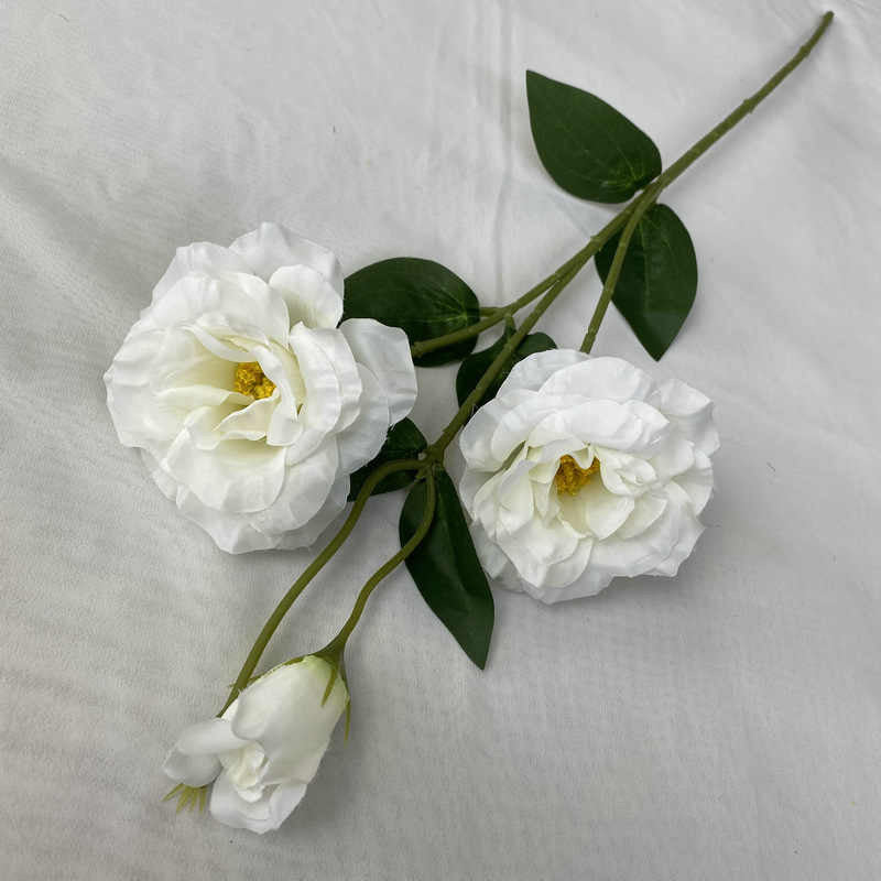 Sovereign florals with different colours